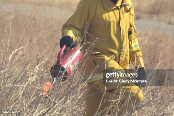 Wildland Fire Crew Photos and Premium High Res Pictures - Getty Images