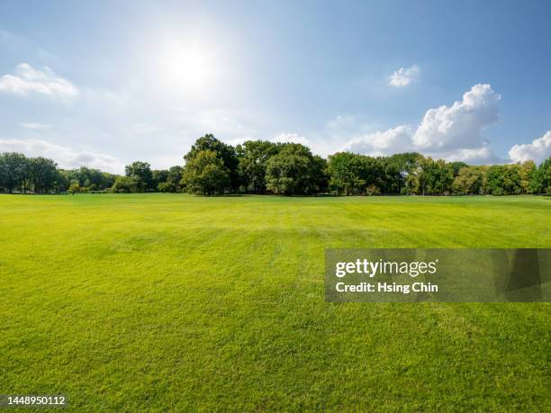 grassland and sky background - public park playground stock pictures, royalty-free photos & images