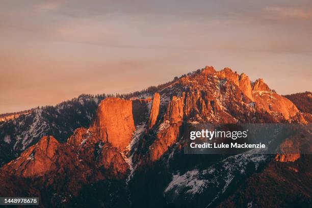 sequoia national park sunset - sequoia national park stock pictures, royalty-free photos & images