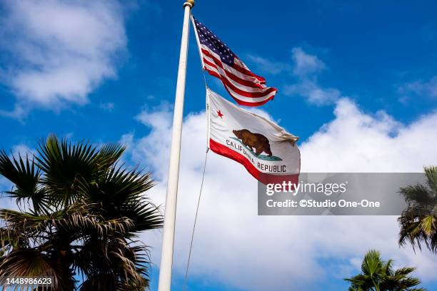 us flag - california photos et images de collection