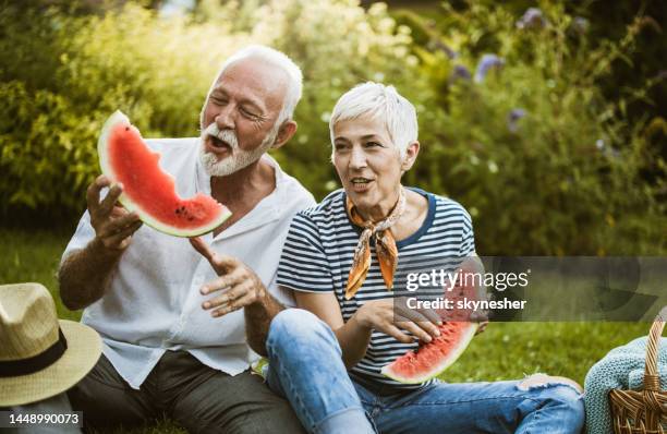 cheerful senior couple eating watermelon on picnic in the park. - watermelon picnic stock pictures, royalty-free photos & images