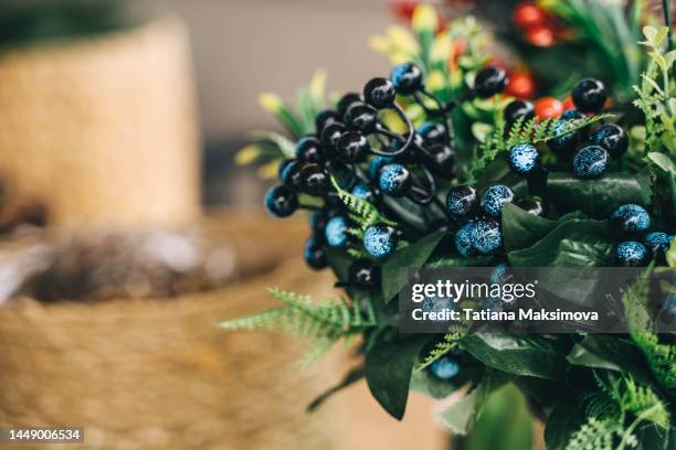 black berry branches close-up. christmas decoration. copy space. - winterberry holly stock pictures, royalty-free photos & images