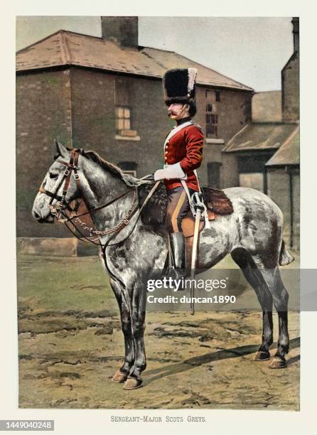 illustrations, cliparts, dessins animés et icônes de armée britannique victorienne, sergent-major du régiment de cavalerie scots greys, uniformes militaires du 19e siècle - british army sergeant major