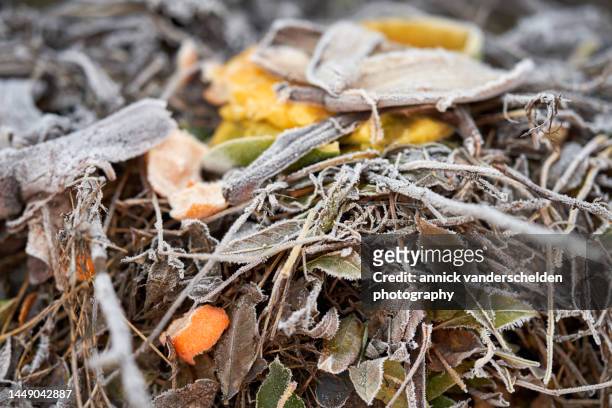 compost heap - autumn frost stock pictures, royalty-free photos & images