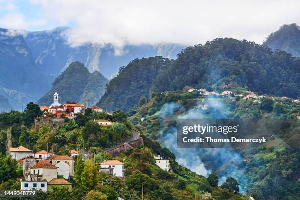 madeira - madeira stock pictures, royalty-free photos & images