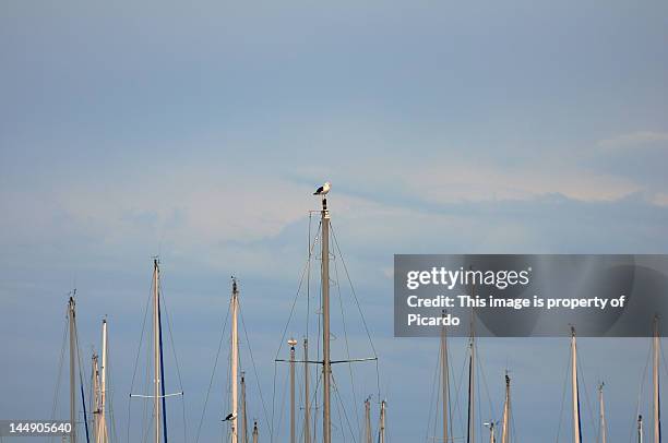 boat masts - schiffsmast stock-fotos und bilder