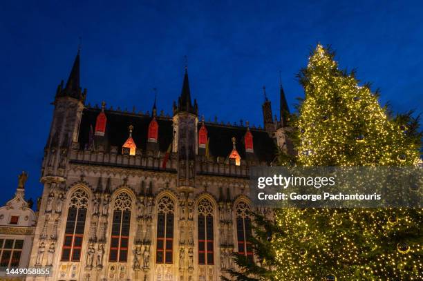 christmas tree and the medieval town hall in bruges, belgium - entrance building stock pictures, royalty-free photos & images