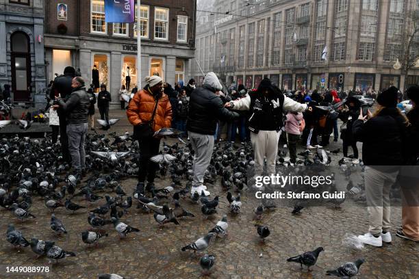 People play with pigeons on Dam Plaza on December 10, 2022 in Amsterdam, Netherlands. Amsterdam is the capital and largest city of the Netherlands....