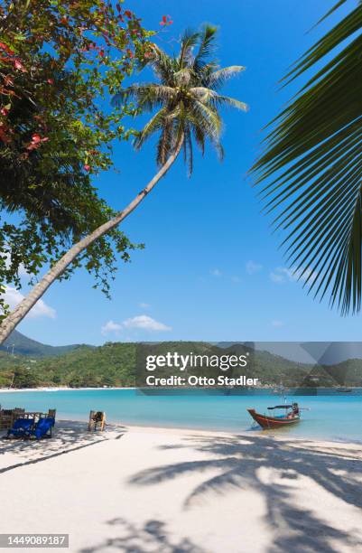 palm tree shadow on the beach - ko phangan stock pictures, royalty-free photos & images