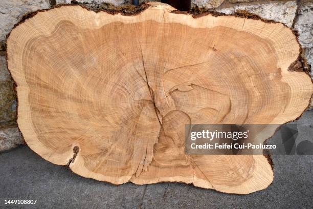 wood cross section - tree ring stock pictures, royalty-free photos & images