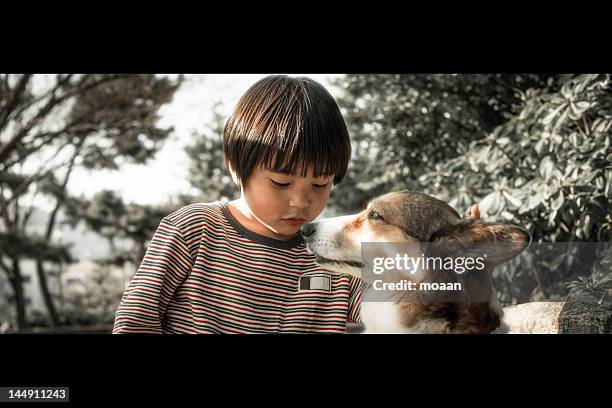 little boy with dog - boy letterbox stock-fotos und bilder