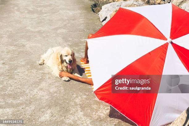 unrecognizable woman under a beach umbrella stroking her dog - toldo fotografías e imágenes de stock