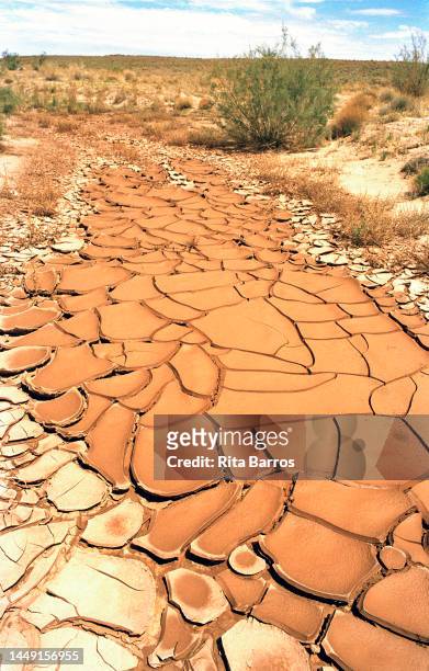 View of the cracked earth on a dried riverbed, Arizona, August 2006.