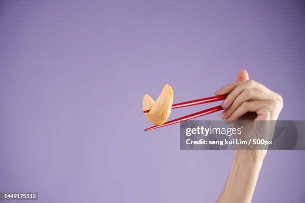 cropped hand of woman holding chopsticks against purple background,malaysia - palillos chinos fotografías e imágenes de stock