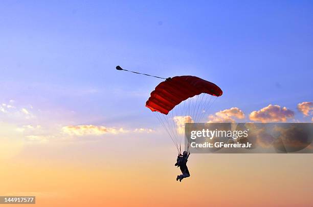 free to fly - salto en paracaidas fotografías e imágenes de stock