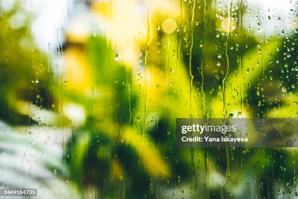 abstract tropical background with water drops running down the window - water repellent stock pictures, royalty-free photos & images