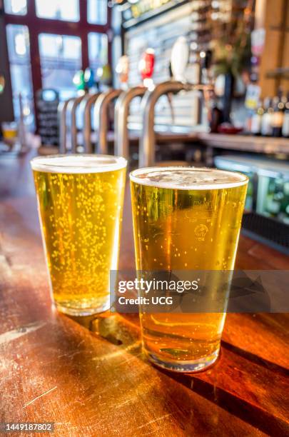 Close up of two pints of lager on the bar of a pub, UK.