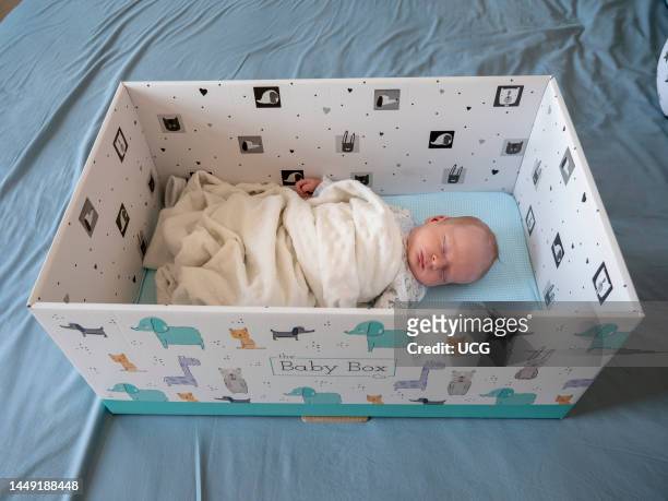 Newborn baby asleep in a baby box.