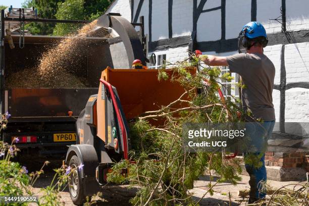 Hampshire, England, UK, Man using a large shredding machine to shred leaves and branches from a felled Pine tree.
