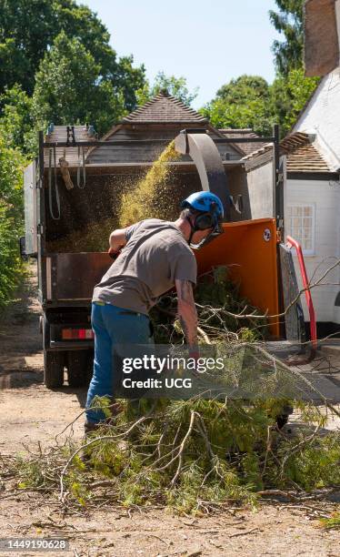 Hampshire, England, UK, Man using a large shredding machine to shred leaves and branches from a felled Pine tree.