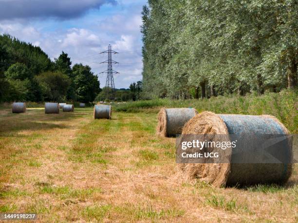 Electricity pylons and hay rolls in a field outside Radley, just after harvesting.