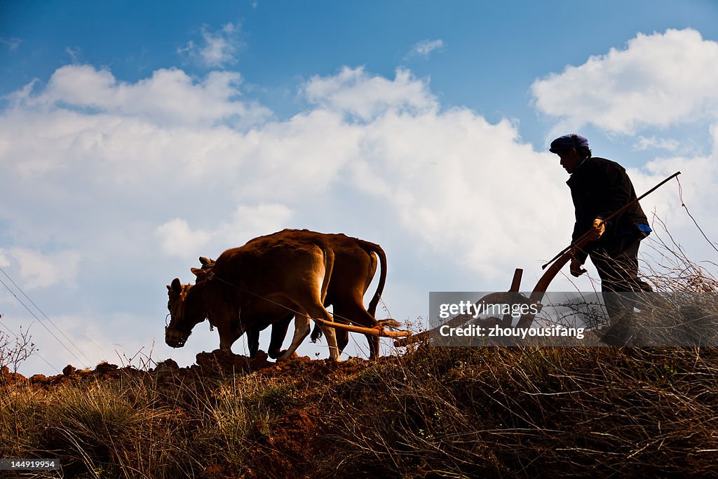 Ploughing