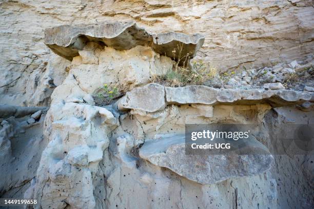 Concretions and cross-bedded sandstone of the Oligocene-Miocene Arikaree Group, Nebraska.