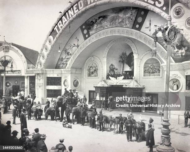 Trained animals lined up, with trainers, clowns and others, the Midway, World's Columbian Exposition, Chicago, Illinois, USA, Frances Benjamin...