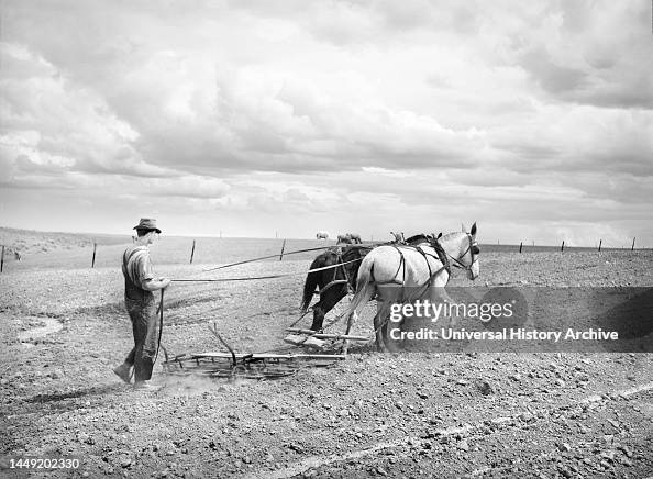 Ray Halstead, U.S. Farm Security Administration(FSA) Rehabilitation Borrower, harrowing his irrigated Field, Dead Ox Flat, Malheur County, Oregon, USA, Russell Lee, U.S. Office of War Information/U.S. Farm Security Administration, May 1941