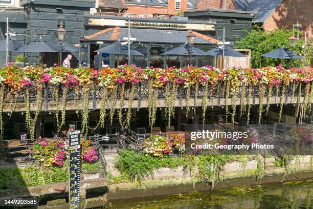 Floering plants in hanging baskets on River Wensum riverside, Compleat Angler pub, Norwich, Norfolk, Englnd, UK.