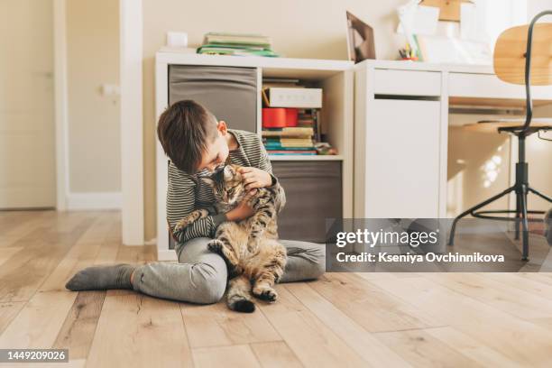 a fair-haired boy in summer in a white linen shirt walks in the fresh air in the field with his favorite pet, a gray-striped cat - fair haired boy stock-fotos und bilder