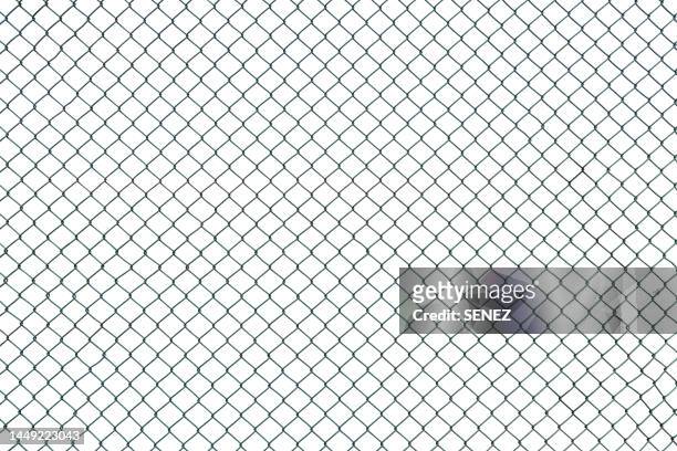 closeup wire fence aginst white background - chain object imagens e fotografias de stock