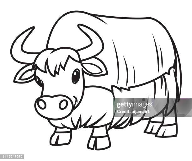 yak - bison stock illustrations
