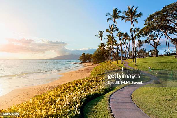 wailea beach, hawaii - isole hawaii foto e immagini stock