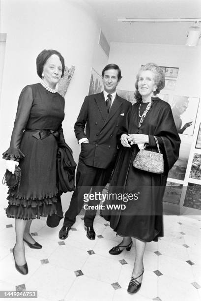 Dorothy Hammerstein, Paul Methuen, and Marion Fields attend the opening of an exhibition at the Blum-Helman Gallery in New York City on November 10,...