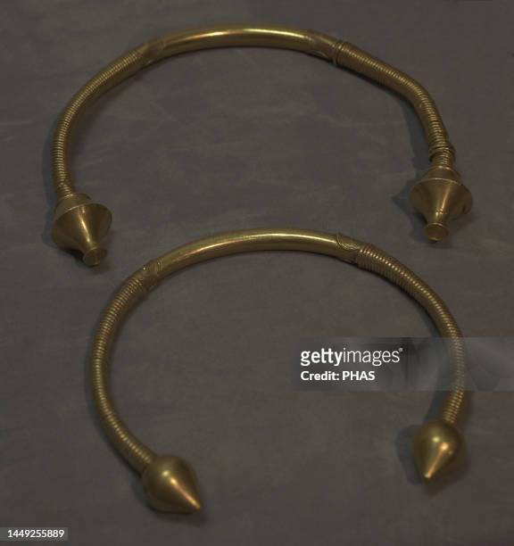 Torcs of the Castro of San Lourenzo Pastor. Gold. 1st century BC. O Pino, A Coruna province . Archaeological and History Museum . A Coruna, Galicia,...
