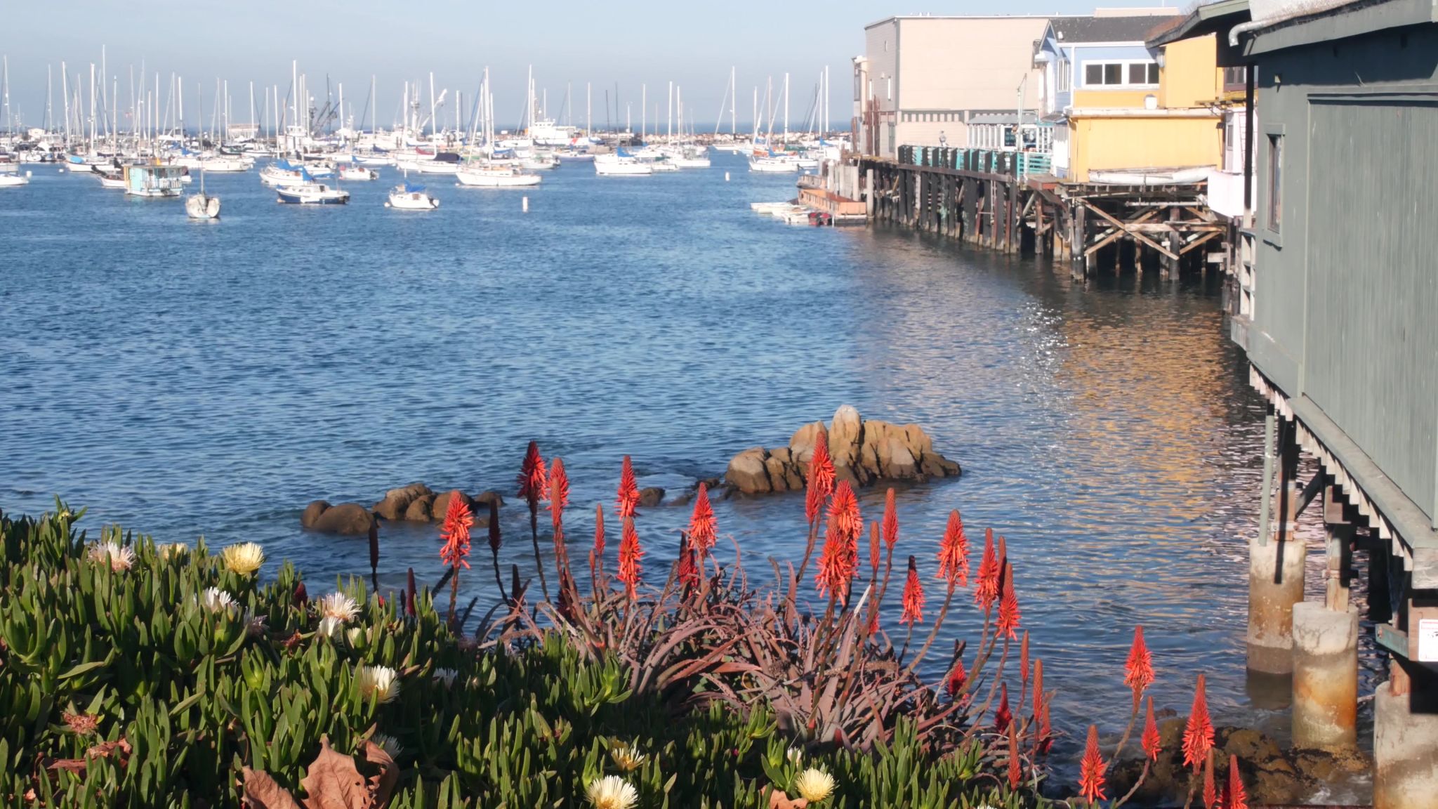 monterey ai