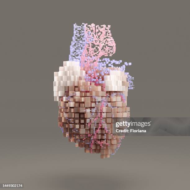 digital heart - human heart isolated stock pictures, royalty-free photos & images