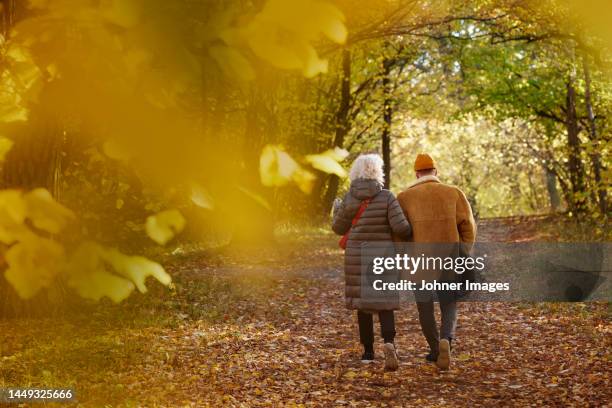 senior couple walking in autumn park - active seniors autumn stock pictures, royalty-free photos & images