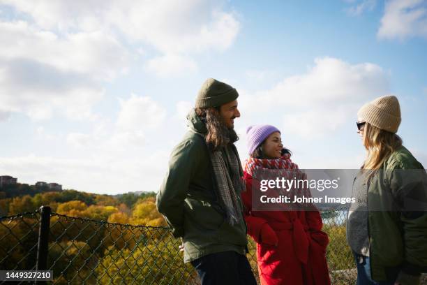 smiling friends talking together - scandinavian descent stock pictures, royalty-free photos & images