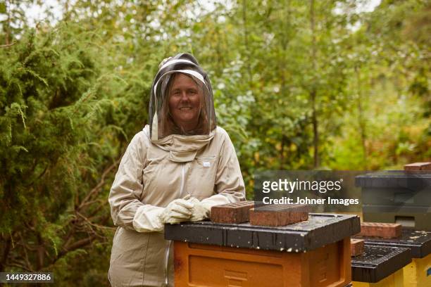 bee-keeper posing during work - apiculture stock pictures, royalty-free photos & images