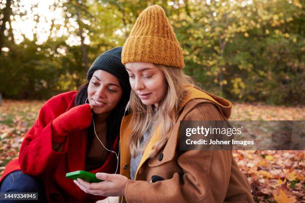 happy friends in autumn scenery - mp3 gerät stock-fotos und bilder