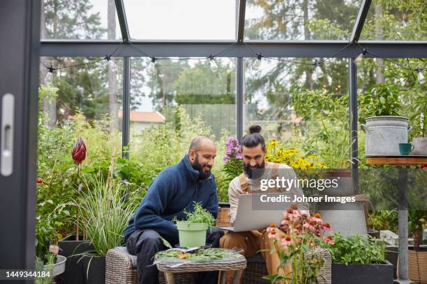 smiling men using laptop in greenhouse - agricultural policy stock pictures, royalty-free photos & images