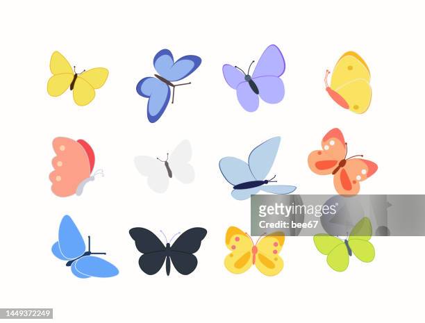 multicolored beautiful butterflies isolated on white background.. - fly insect stock illustrations