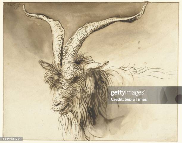 Head of a Dutch Landrace Goat, Lambert Doomer, 1655 - 1665, draughtsman: Lambert Doomer, 1655 - 1665, paper, pen, brush, h 186 mm × w 235 mm.