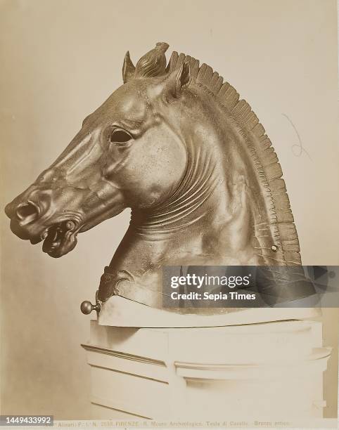 Horse head, antique bronze, Museo Archeologico, Florence, albumin paper, black and white positive process, image size: height: 23,90 cm; width: 18,70...