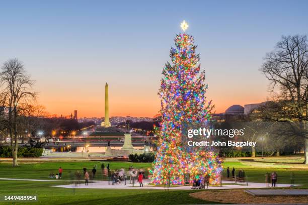 united states capitol christmas tree and washington monument - capitol christmas tree stock pictures, royalty-free photos & images