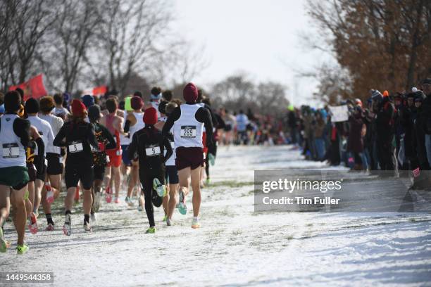 Runners compete in the Division III Mens and Womens Cross Country Championships held at Forest Akers on November 19, 2022 in Lansing, Michigan.