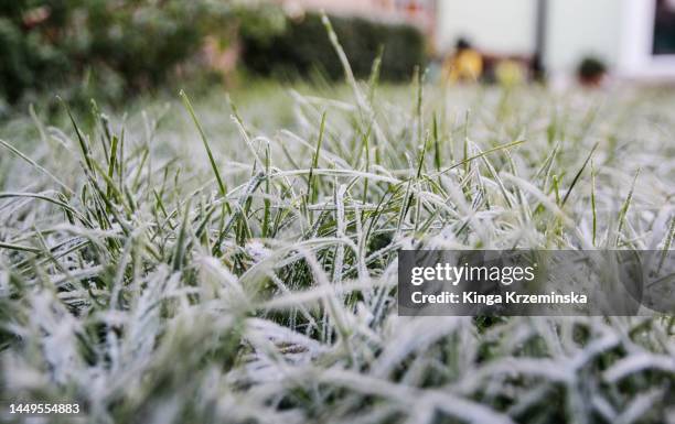 frosty morning - cold weather ストックフォトと画像