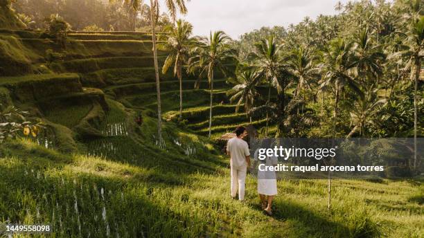 couple visiting a rice field in bali - lune de miel photos et images de collection